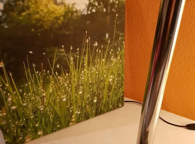 The Happiness Penthouse Dream At 100m Apartament