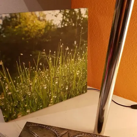 The Happiness Penthouse Dream At 100m 公寓